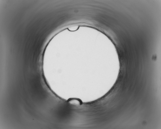 X0000100951516200807221108