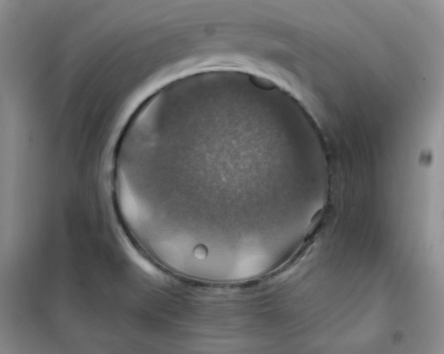 X0000100951519200807221108