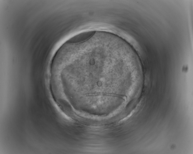 X0000100951520200807221108