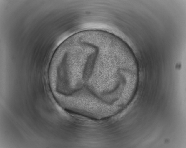 X0000100951521200807221108