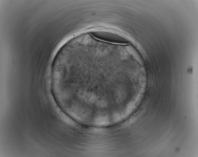 X0000100951522200807221109