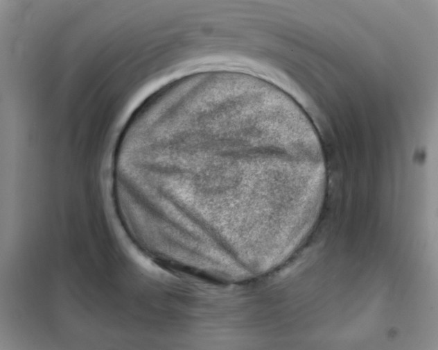 X0000100951523200807221109