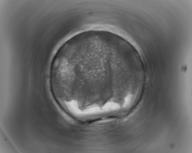 X0000100951525200807221109