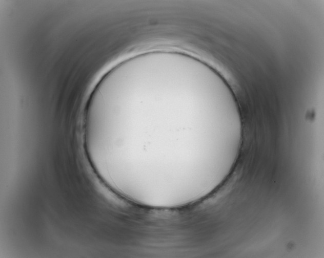 X0000100951526200807221109