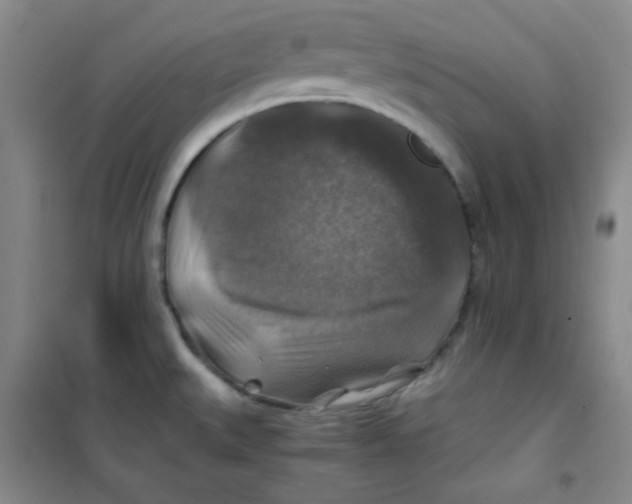 X0000100951527200807221109