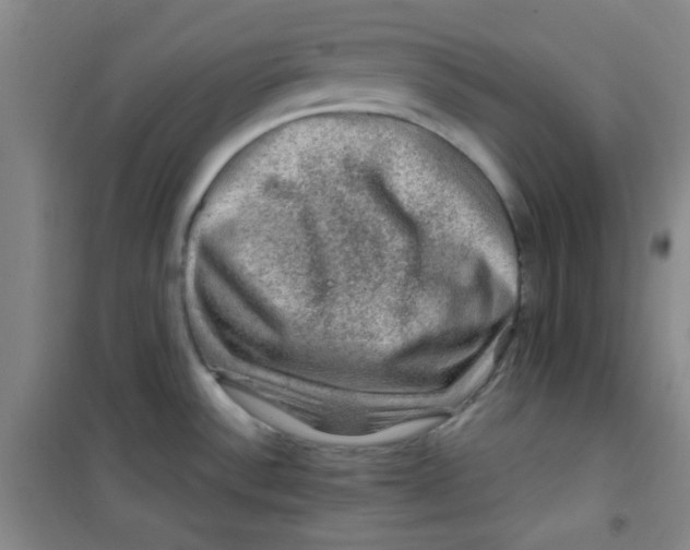 X0000100951532200807221109