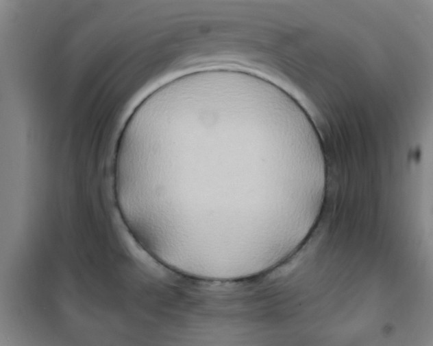 X0000100951534200807221109