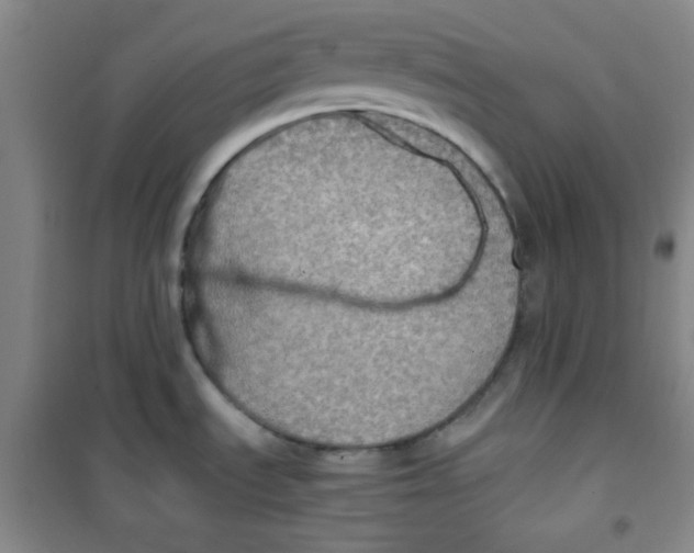 X0000100951535200807221109