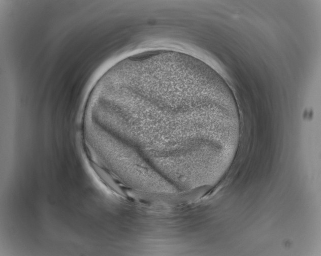 X0000100951536200807221109