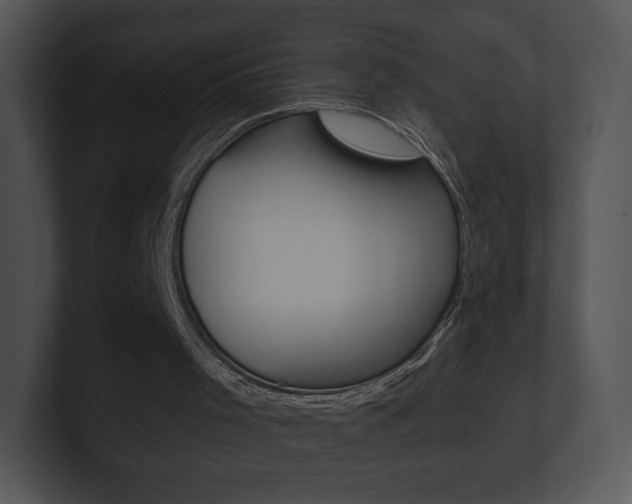 X0000100960001200806241153