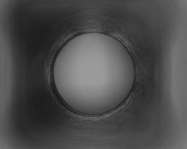 X0000100960002200806241153