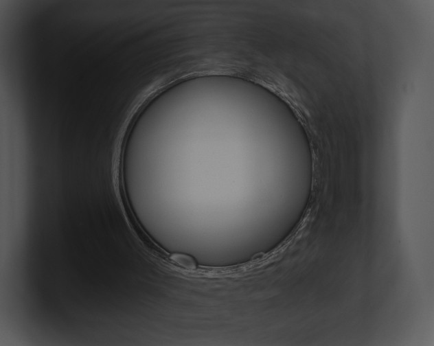 X0000100960003200806241153