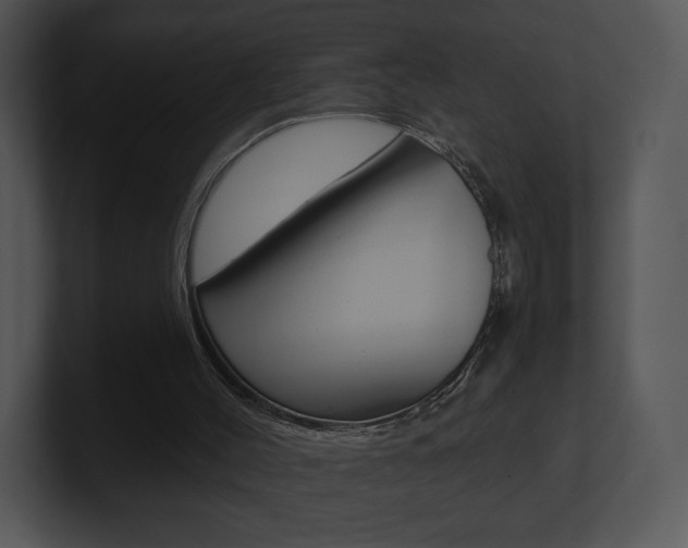 X0000100960004200806241153