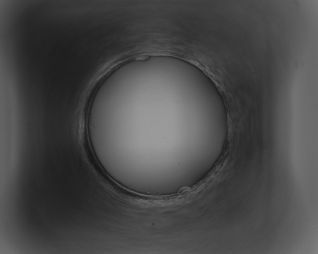 X0000100960005200806241153