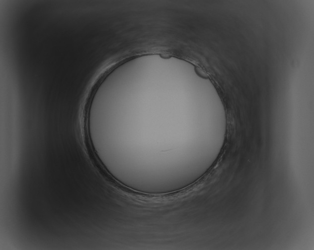 X0000100960006200806241153