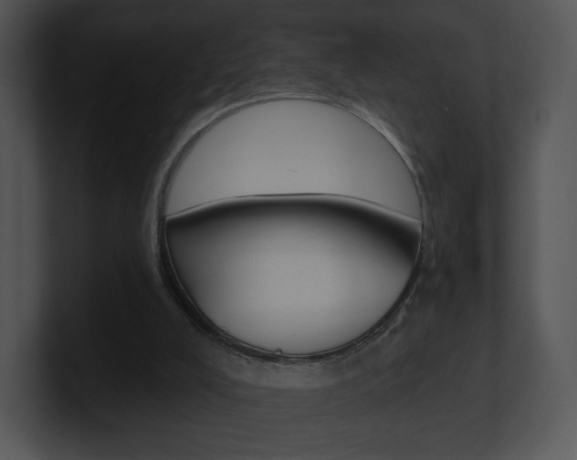 X0000100960008200806241153