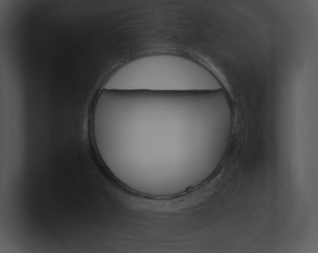 X0000100960010200806241153