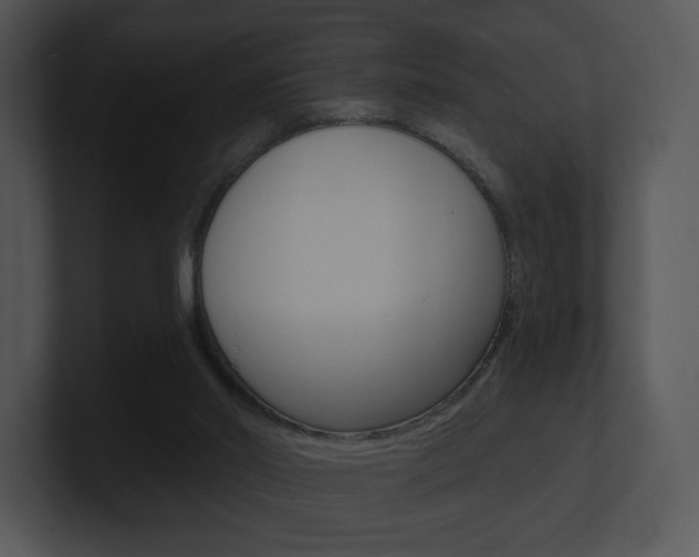 X0000100960014200806241152