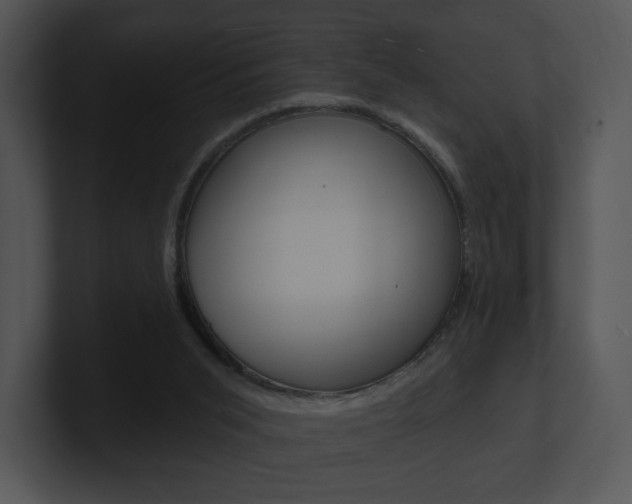 X0000100960015200806241152