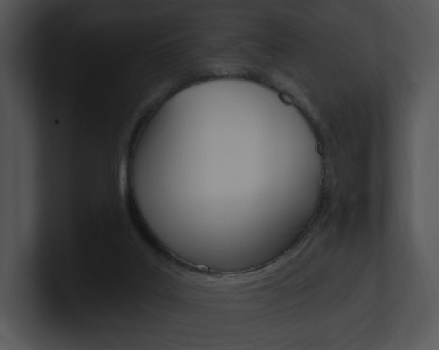 X0000100960019200806241152