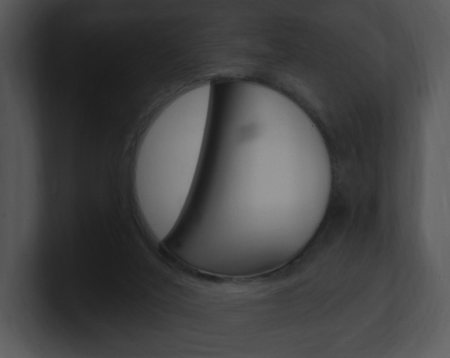 X0000100960020200806241152