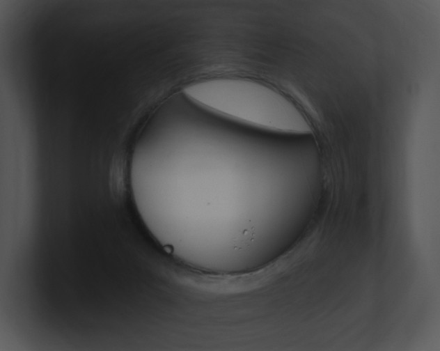 X0000100960023200806241152