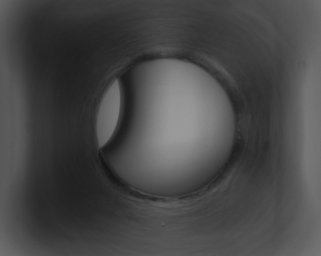 X0000100960024200806241152
