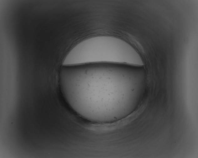 X0000100960025200806241152