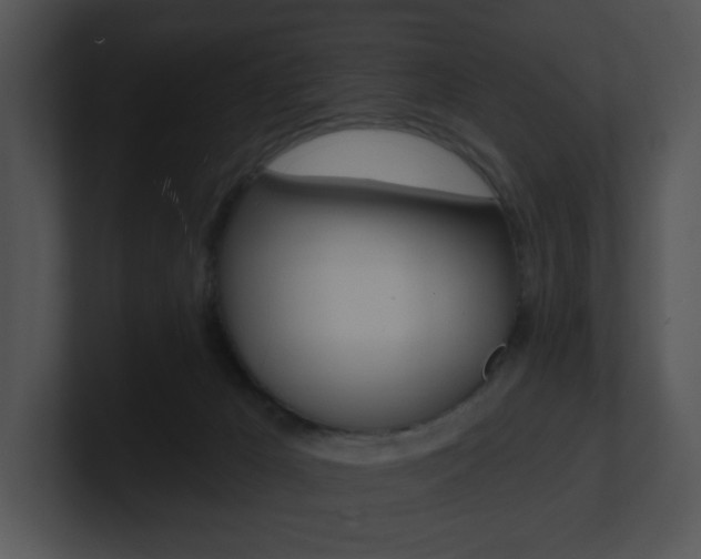 X0000100960029200806241152