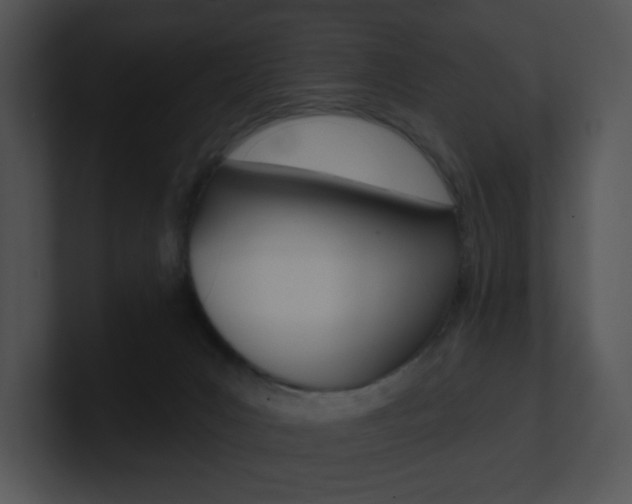 X0000100960031200806241152