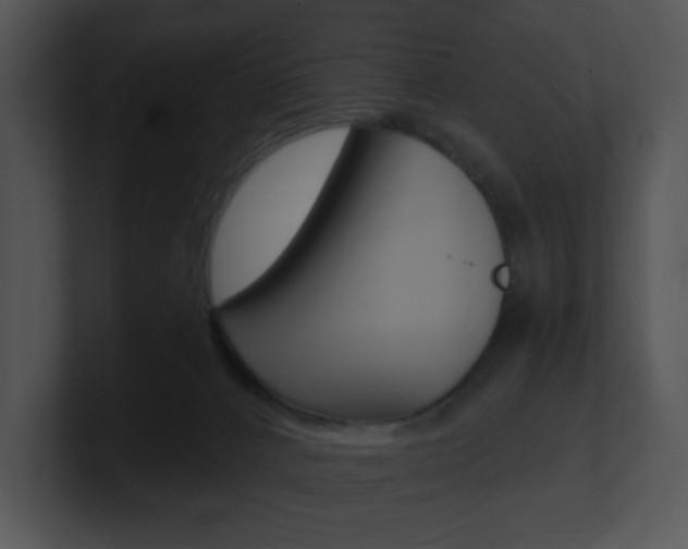 X0000100960032200806241152