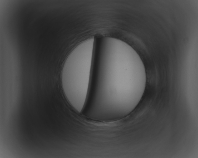 X0000100960036200806241152