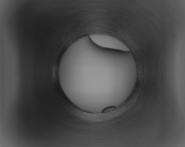 X0000100960038200806241152