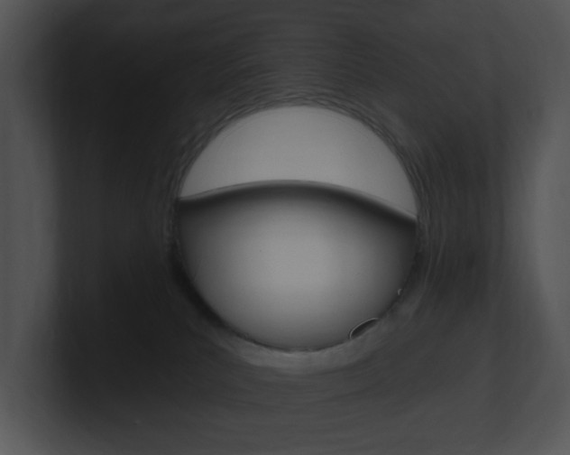 X0000100960039200806241152