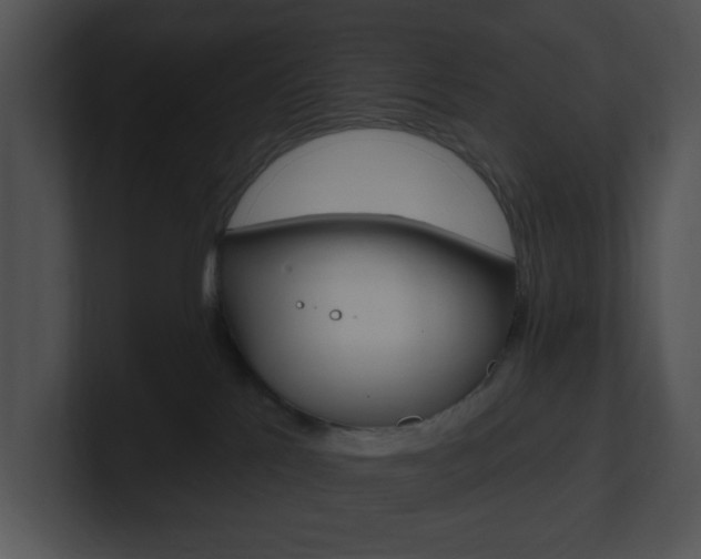 X0000100960041200806241152