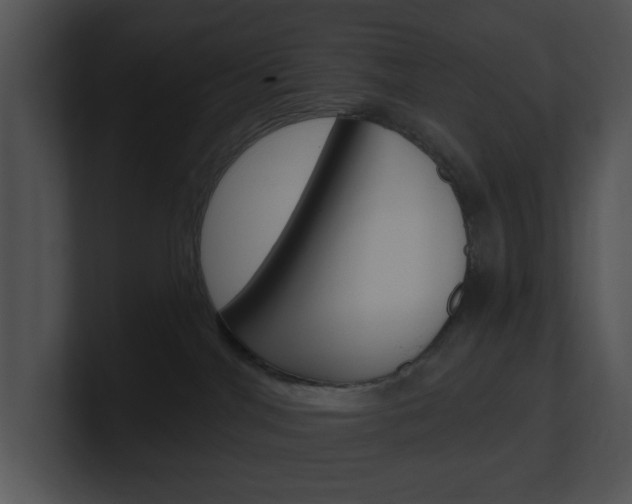 X0000100960044200806241152