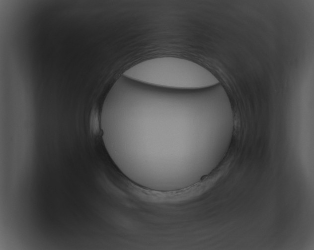 X0000100960046200806241152