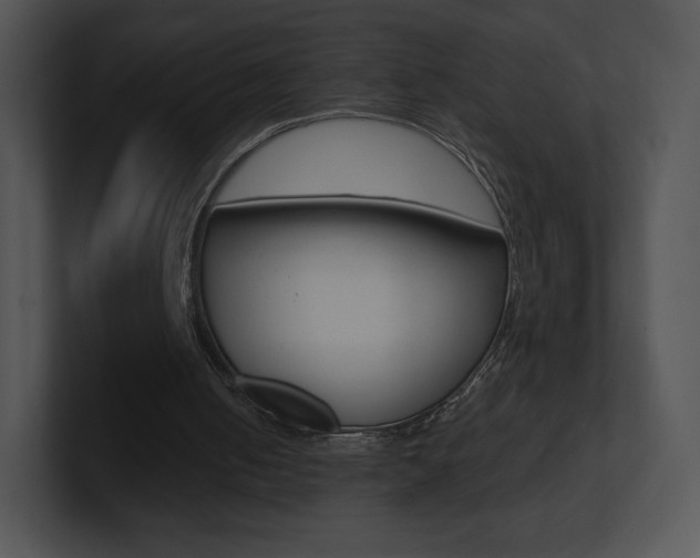 X0000100960050200806241151
