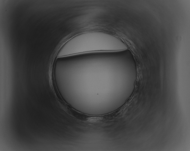 X0000100960051200806241151