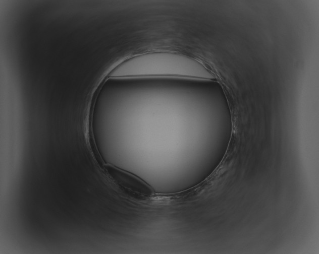 X0000100960052200806241151