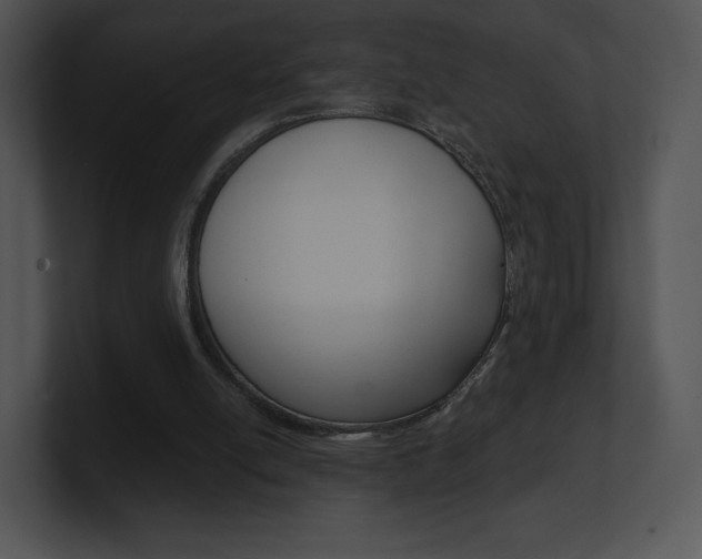 X0000100960054200806241151