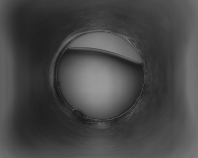 X0000100960056200806241151