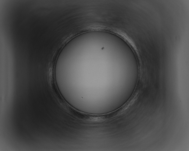 X0000100960057200806241151