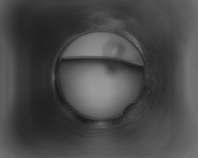 X0000100960059200806241152