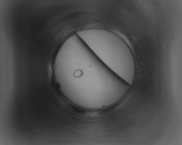 X0000100960061200806241152
