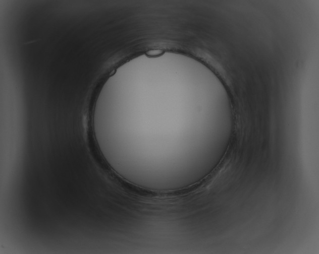 X0000100960063200806241152