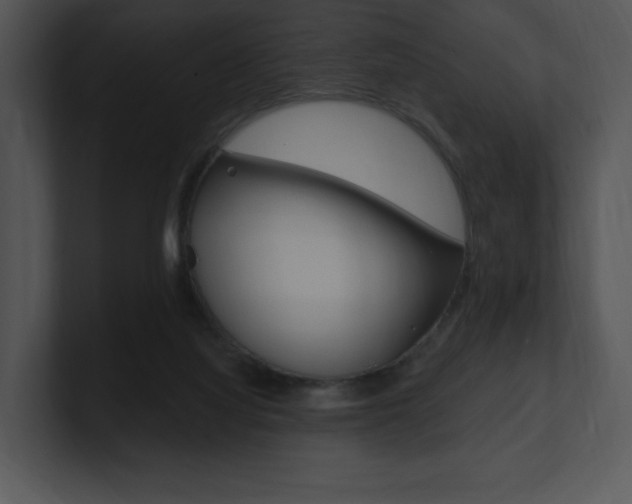 X0000100960068200806241152