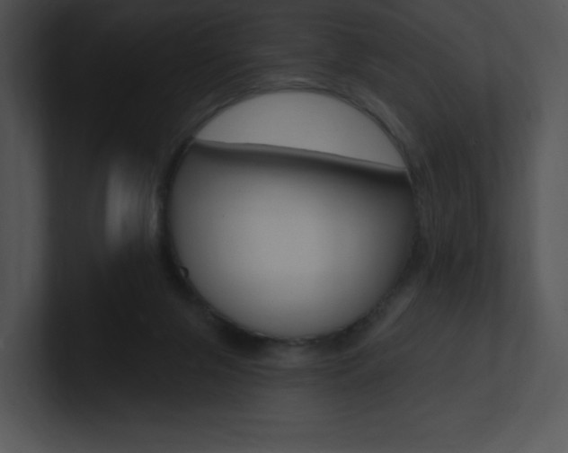 X0000100960071200806241152