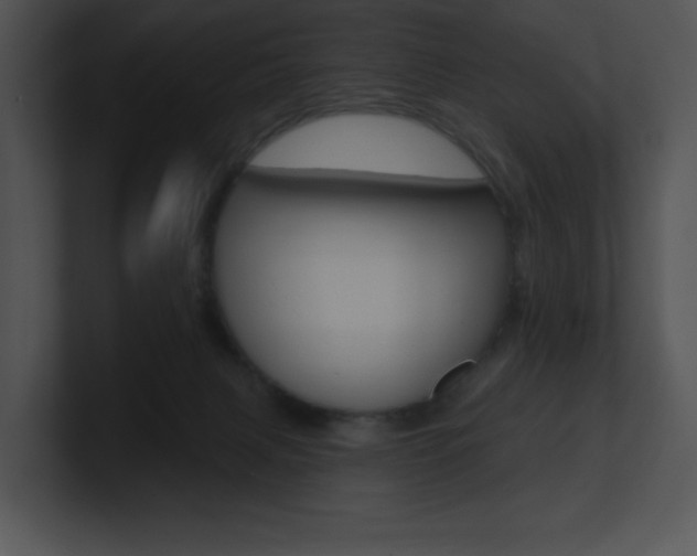 X0000100960079200806241152