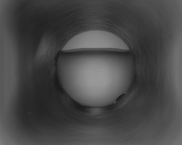 X0000100960085200806241152